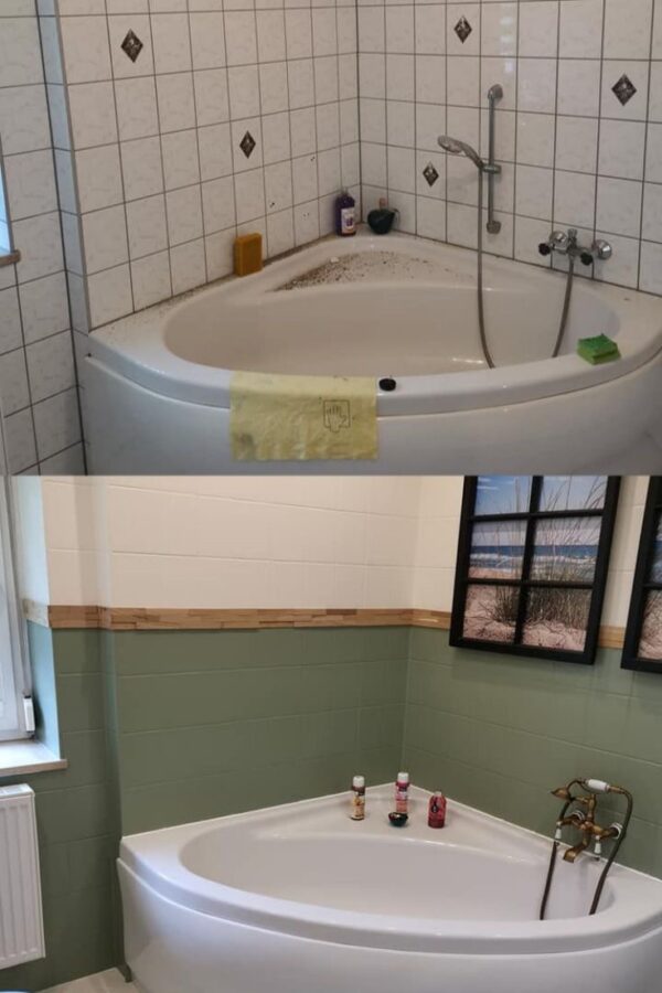 طلاء الفايونس