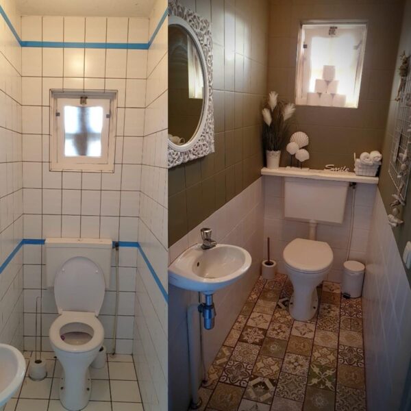 طلاء الفايونس