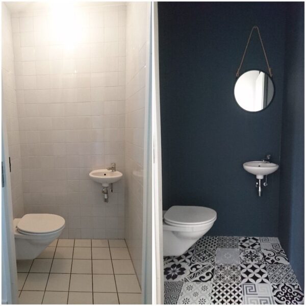 طلاء الفايونس